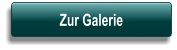 Button zur Seite Galerie