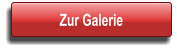 Button zur Seite Galerie