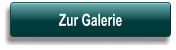 Button zur Seite Galerie