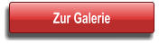 Button zur Seite Galerie
