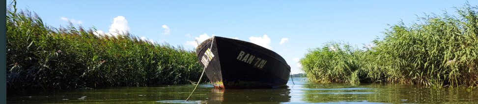 Profilbild mit Blick auf den Hafen